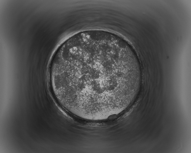 X0000087011517200705071515