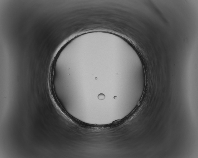 X0000087011518200705071516