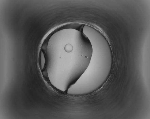 X0000087011520200705071516