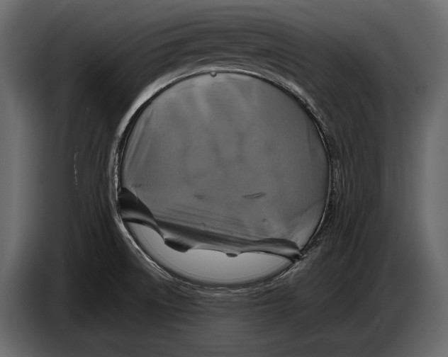 X0000087011522200705071516