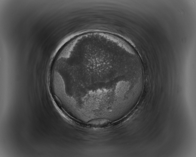 X0000087011523200705071516