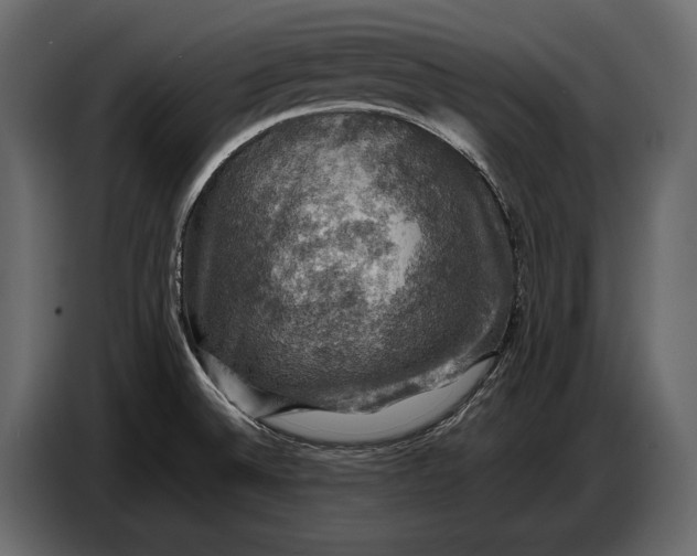 X0000087011524200705071516