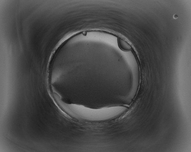 X0000087011525200705071516