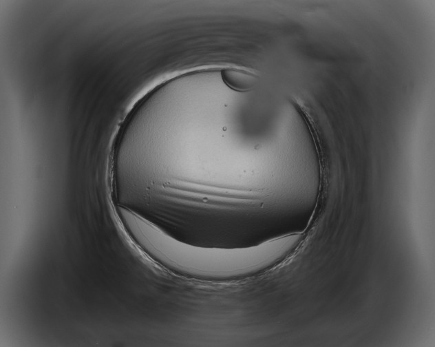 X0000087011526200705071516