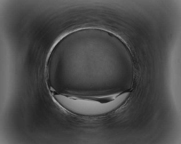 X0000087011527200705071516