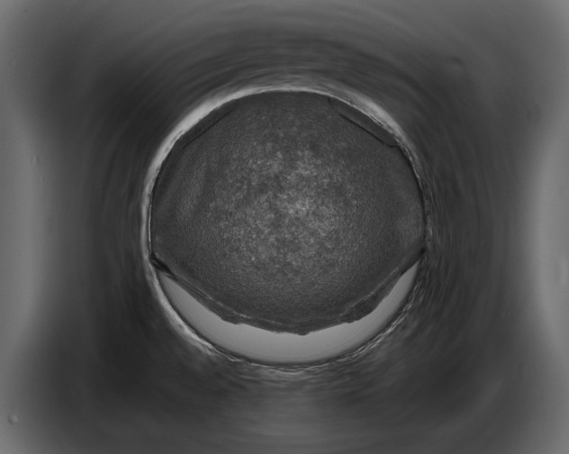 X0000087011528200705071516