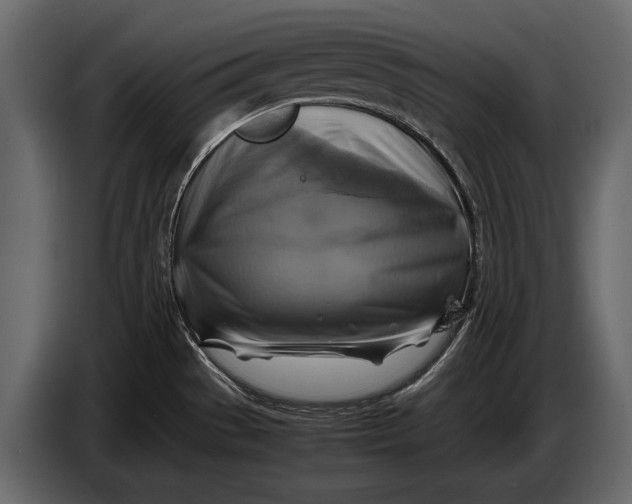 X0000087011529200705071516