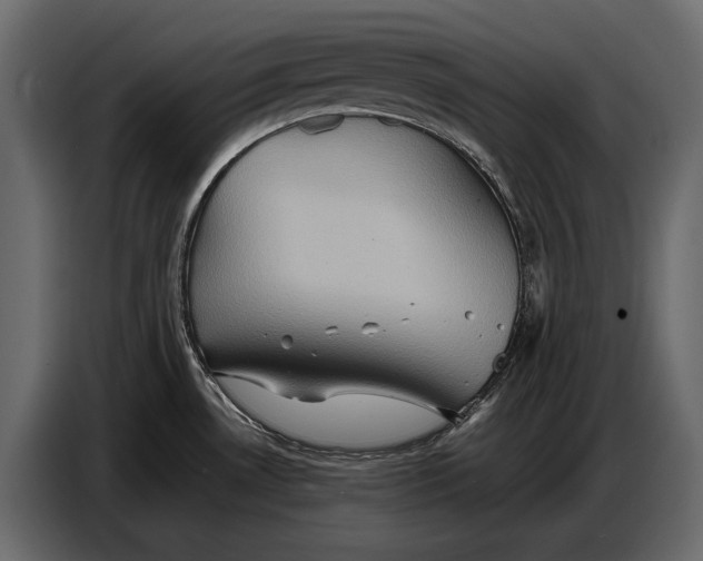 X0000087011530200705071516