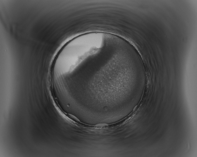 X0000087011531200705071516