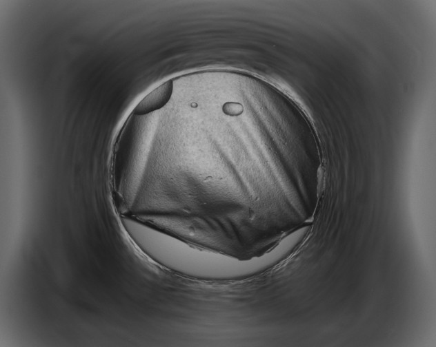 X0000087011532200705071516