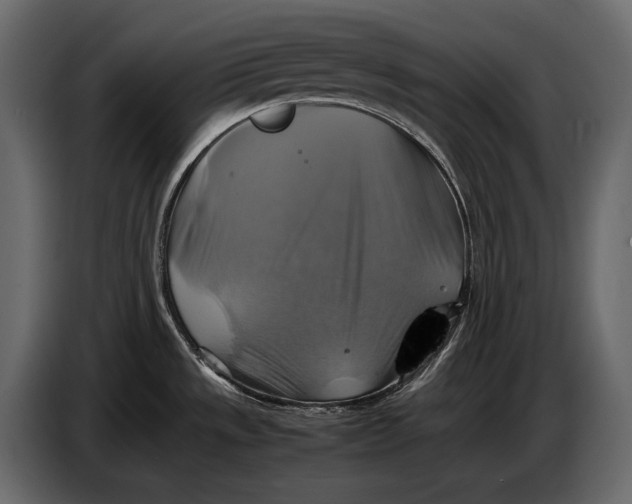 X0000087011533200705071516