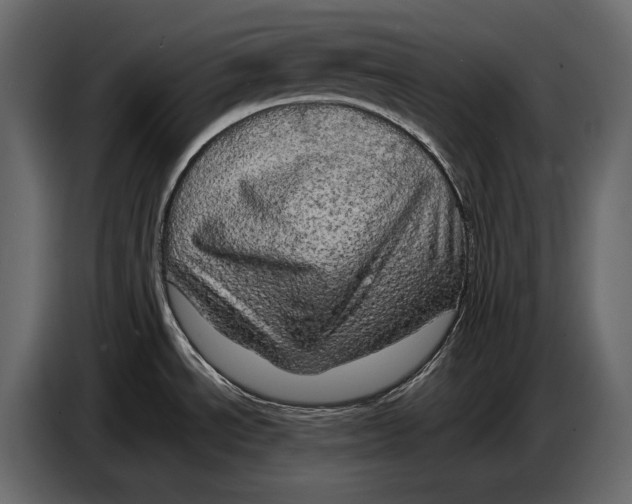 X0000087011534200705071516