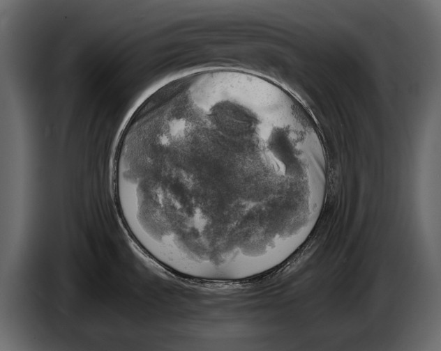 X0000087011535200705071516