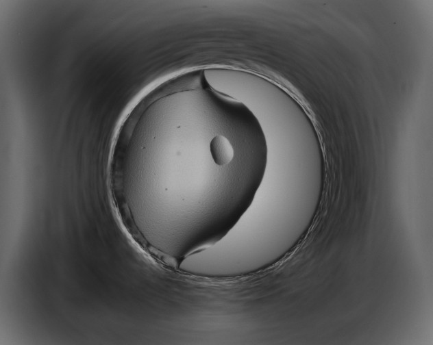 X0000087011536200705071516