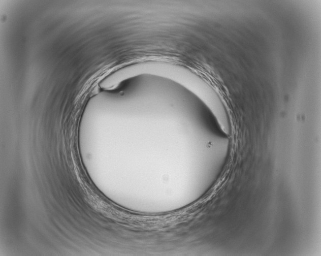 X0000087010001200705141843