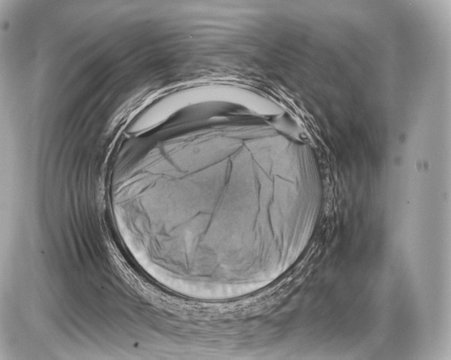 X0000087010002200705141843