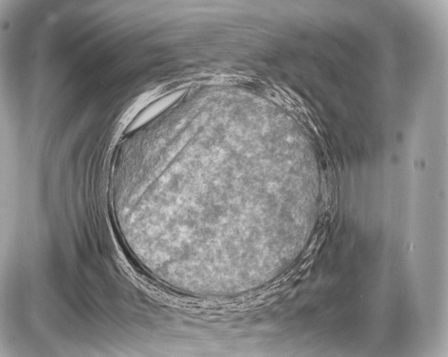 X0000087010003200705141843