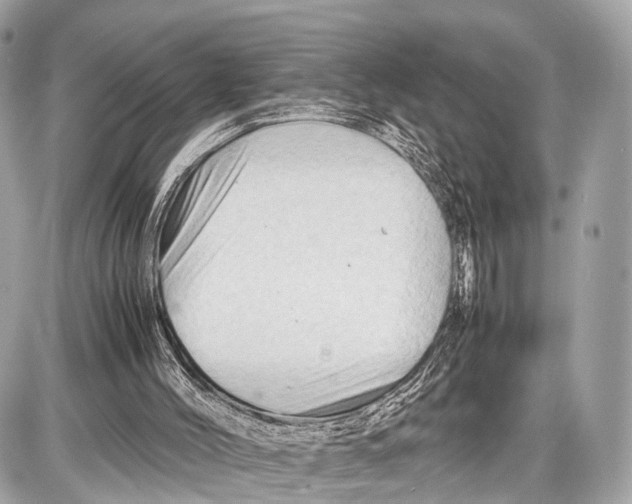 X0000087010004200705141843