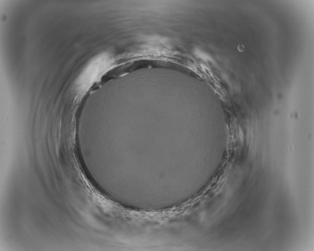 X0000087010005200705141843