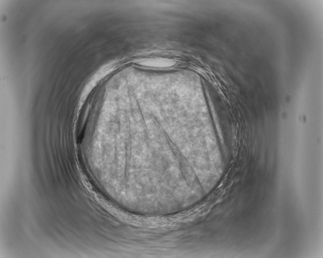 X0000087010006200705141843