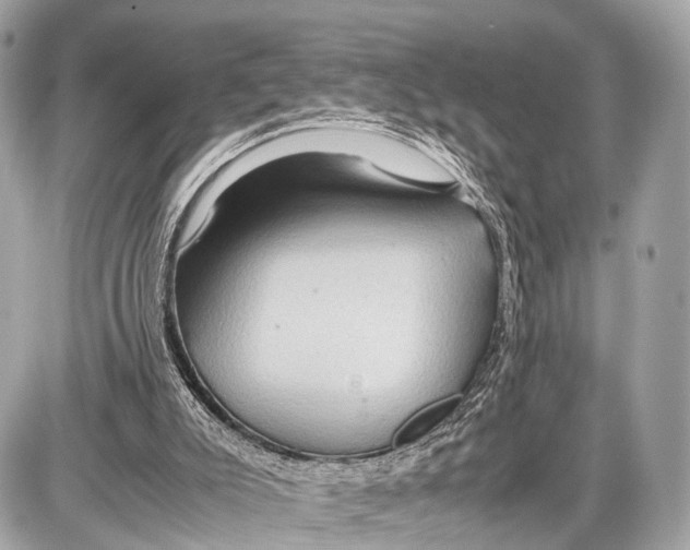 X0000087010007200705141843