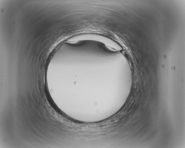 X0000087010011200705141843