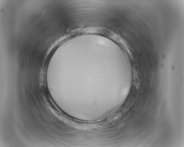 X0000087010012200705141843