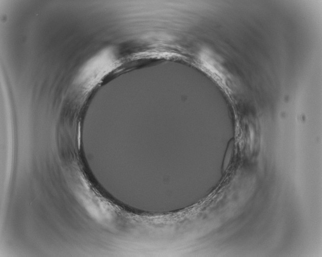 X0000087010013200705141843