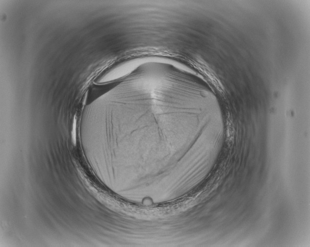 X0000087010014200705141843