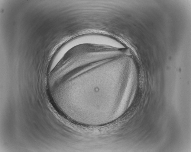 X0000087010015200705141843