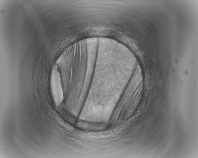 X0000087010017200705141843