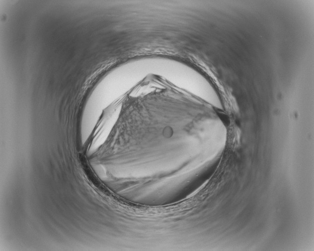 X0000087010019200705141843