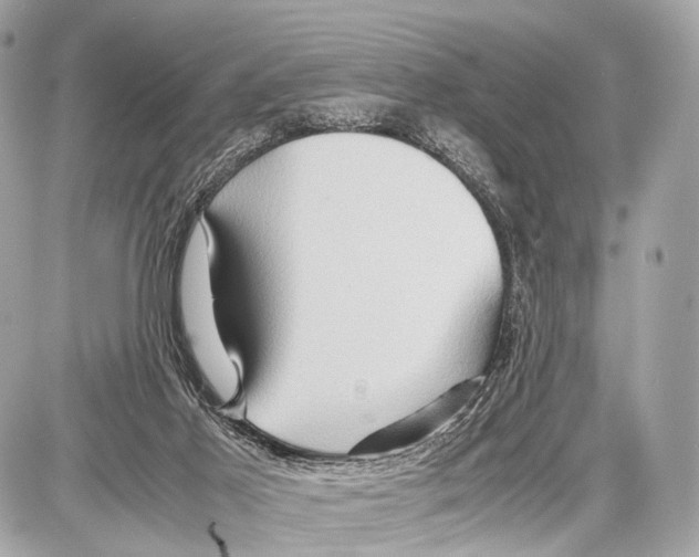 X0000087010021200705141843