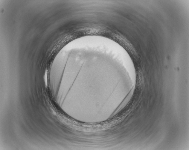 X0000087010022200705141843