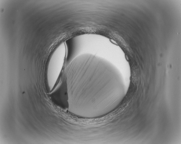 X0000087010023200705141843