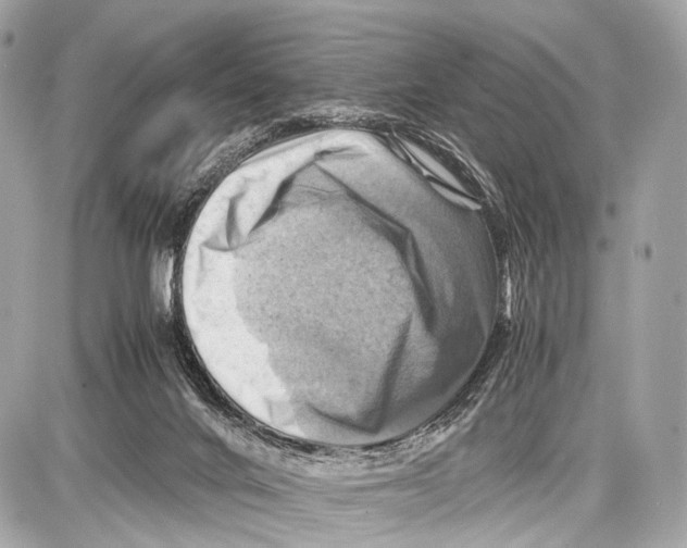 X0000087010024200705141843