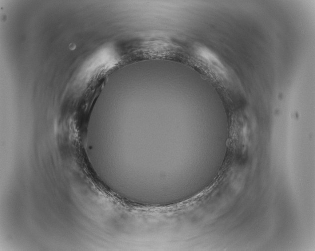 X0000087010025200705141842