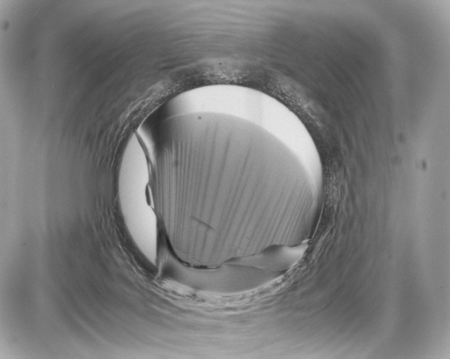 X0000087010027200705141842