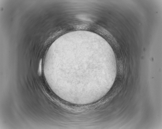 X0000087010028200705141842