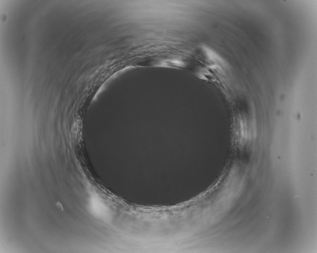 X0000087010029200705141842