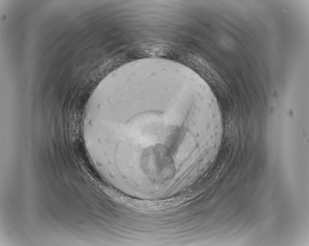 X0000087010030200705141842