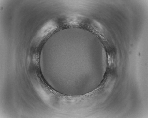 X0000087010033200705141842