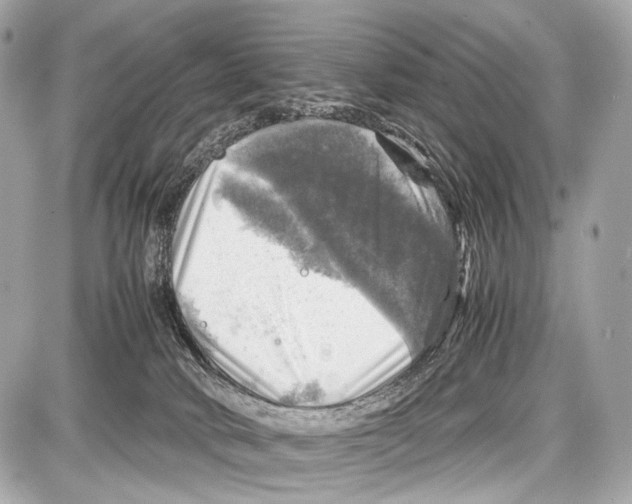 X0000087010034200705141842