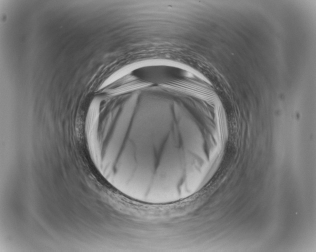 X0000087010035200705141842