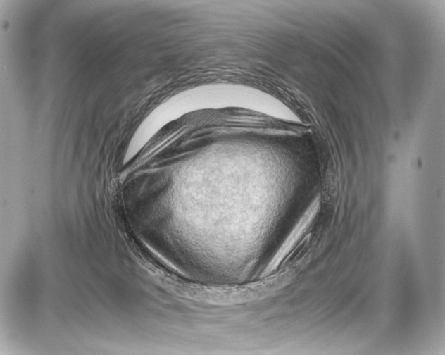 X0000087010037200705141842