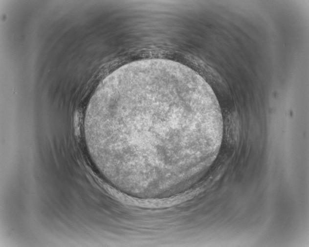 X0000087010038200705141842