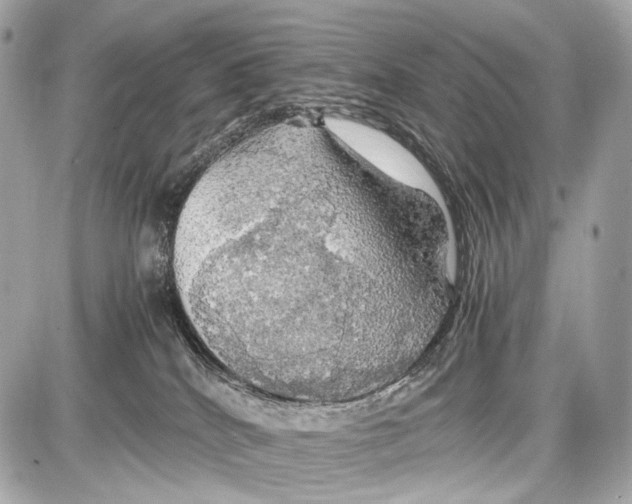 X0000087010040200705141842