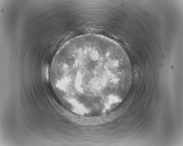 X0000087010042200705141842