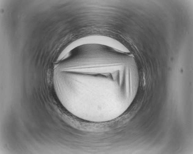 X0000087010044200705141842