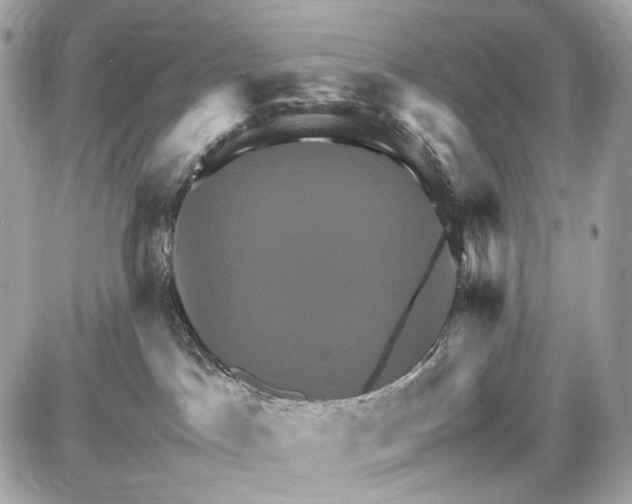 X0000087010045200705141842